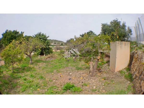 Terreno en camino del Pontet, 8