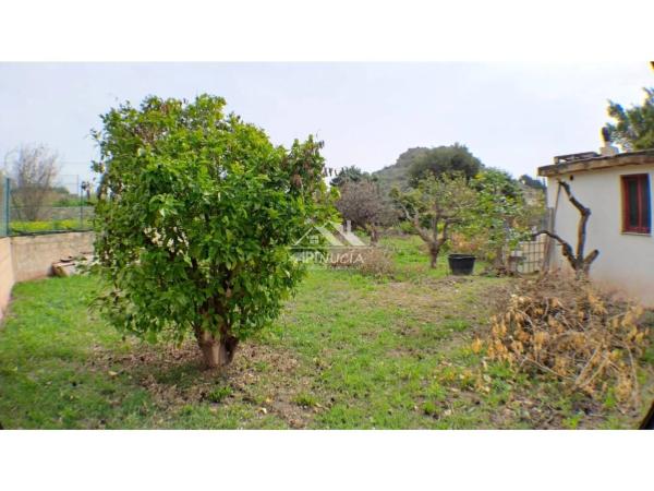 Terreno en camino del Pontet, 8