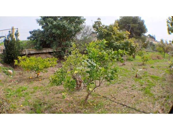 Terreno en camino del Pontet, 8