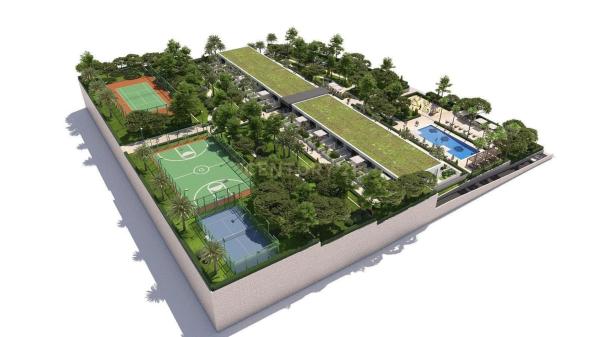 Terreno en carretera Villafranqueza