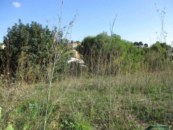 Terreno en Partida Cometa i