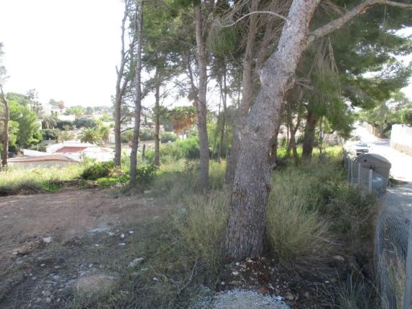 Terreno en Partida Cometa i