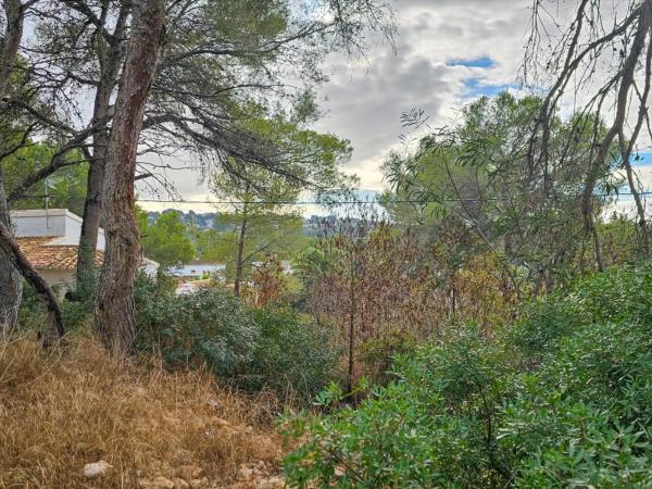 Terreno en La Granadella - Costa Nova