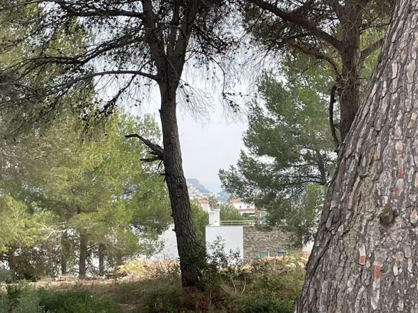 Terreno en calle Benisol, 6