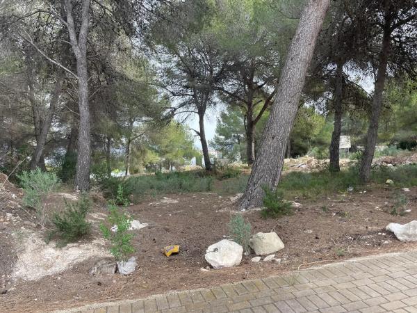 Terreno en calle Benisol, 6