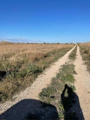 Terreno en La Marina