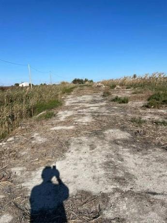 Terreno en La Marina