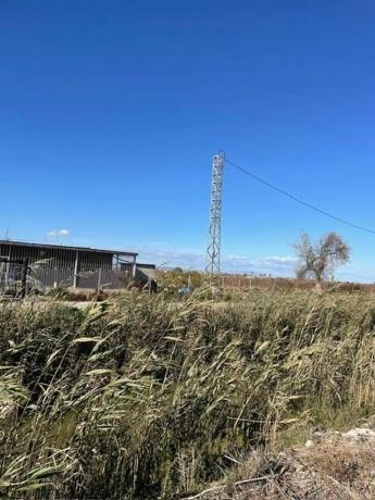 Terreno en La Marina