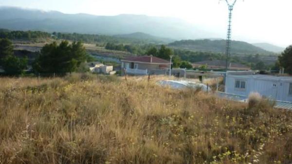 Terreno en Finca Terol s/n