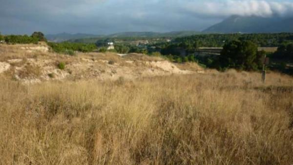 Terreno en Finca Terol s/n