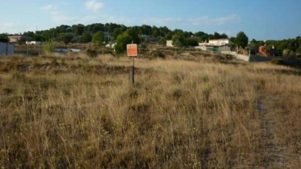 Terreno en Finca Terol s/n