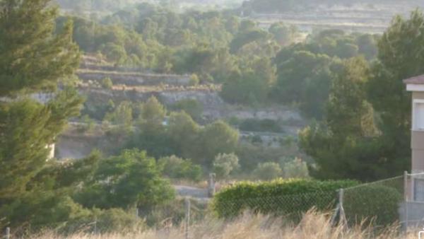 Terreno en Finca Terol s/n