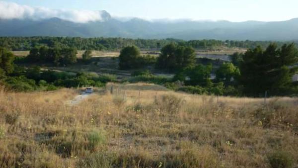 Terreno en Finca Terol s/n