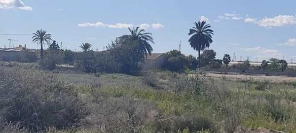 Terreno en Rojales