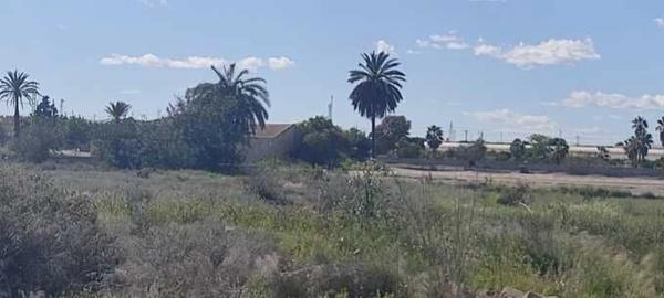 Terreno en Rojales
