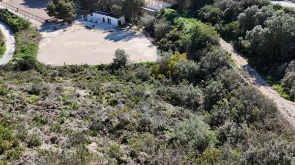 Terreno en calle Begonias, 22