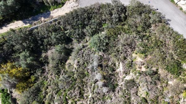 Terreno en calle Begonias, 22