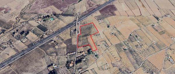 Terreno en plaza Poligono 2