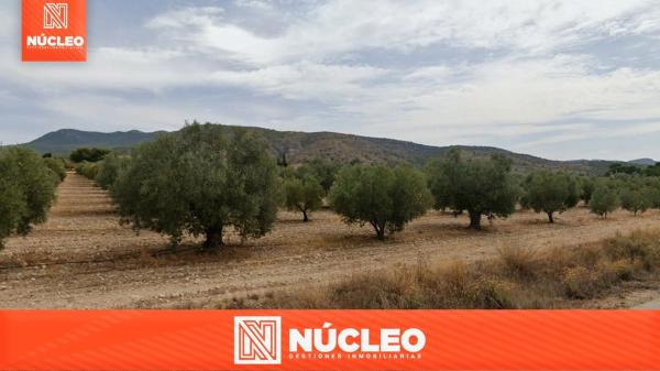 Terreno en plaza Poligono 2