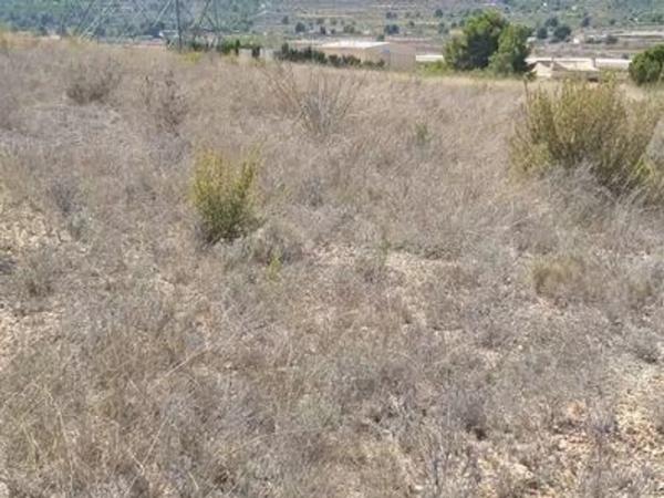 Terreno en Partida els Alforins, 4