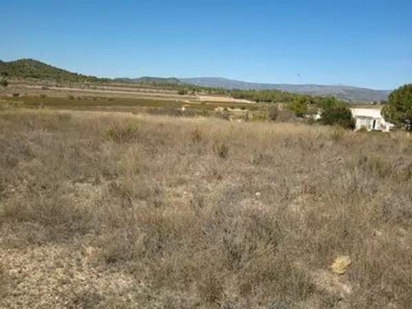 Terreno en Partida els Alforins, 4