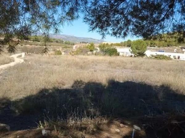 Terreno en Partida els Alforins, 4