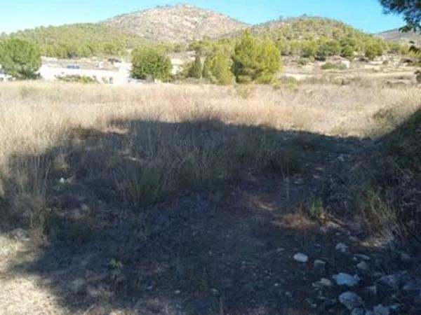 Terreno en Partida els Alforins, 4