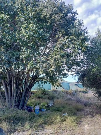 Terreno en camino del Xari s/n