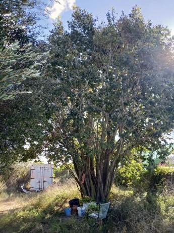 Terreno en camino del Xari s/n