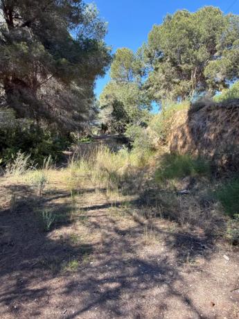 Terreno en Cala Advocat - Baladrar