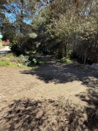 Terreno en Cala Advocat - Baladrar