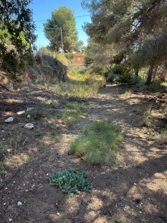 Terreno en Cala Advocat - Baladrar