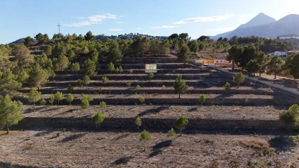 Terreno en El Tossal-Bello Horizonte