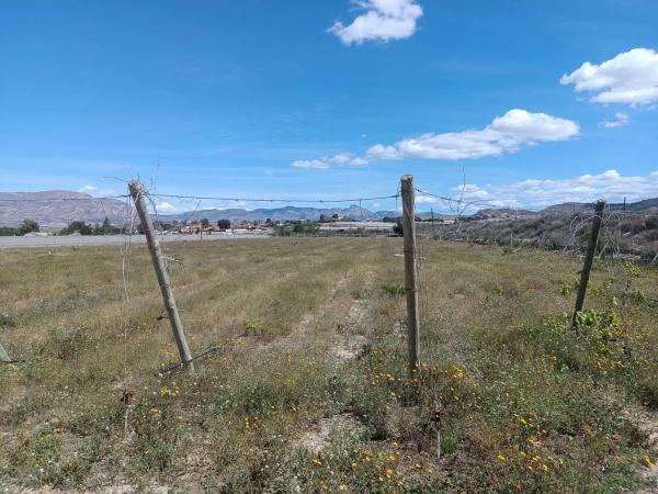 Terreno en Amoloig, 19 PolgonoParcela