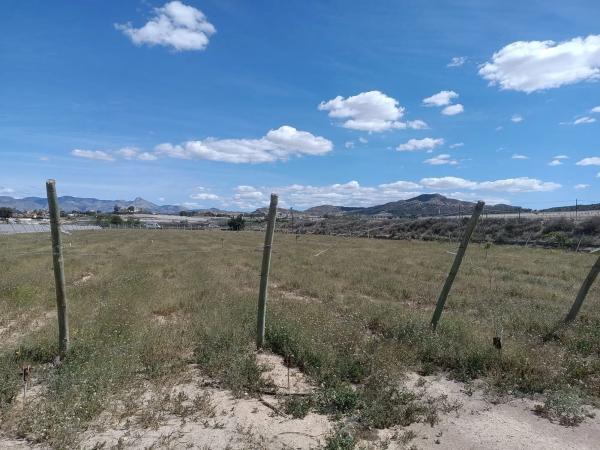 Terreno en Amoloig, 19 PolgonoParcela