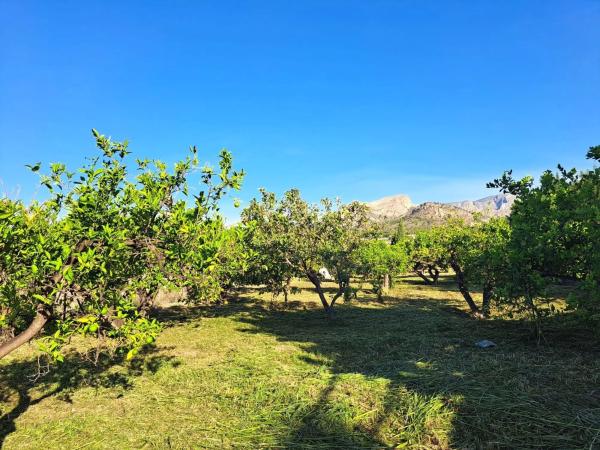 Terreno en Finestrat Pueblo