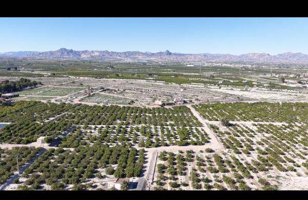 Terreno en camino del Alto del Pino