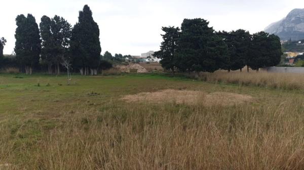 Terreno en calle Alcipe, 34