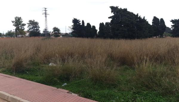 Terreno en calle Alcipe, 34