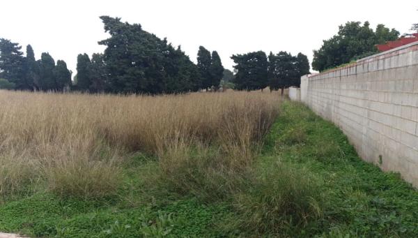 Terreno en calle Alcipe, 34