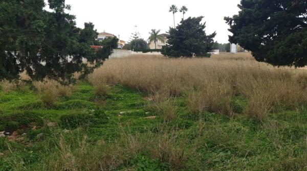 Terreno en calle Alcipe, 34