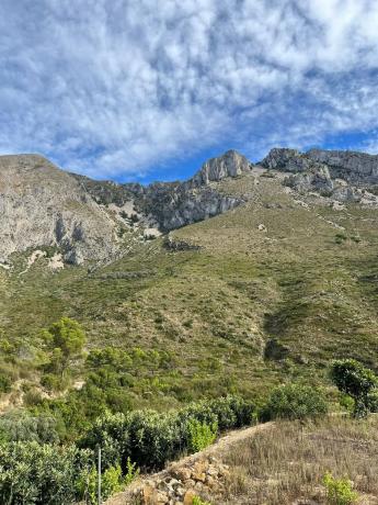 Terreno en Callosa d'En Sarria