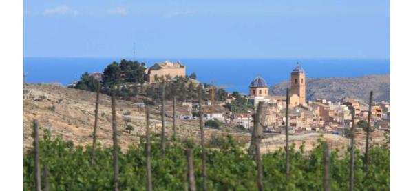 Terreno en avenida de Novelda