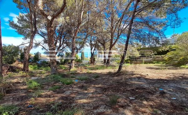 Terreno en calle Partida Cm Cap Marti