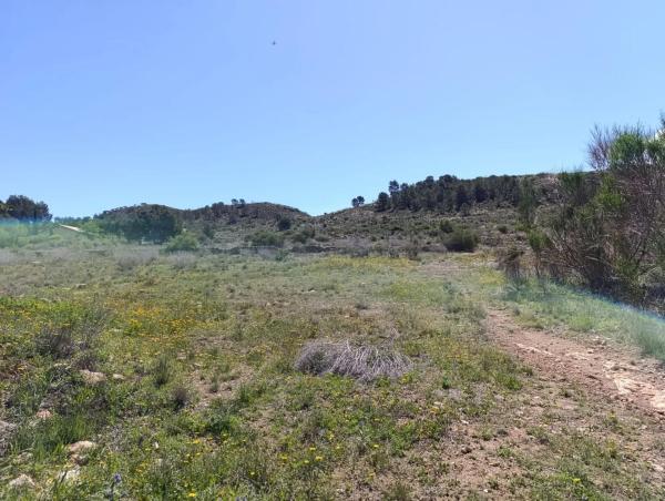 Terreno en Hondón de las Nieves