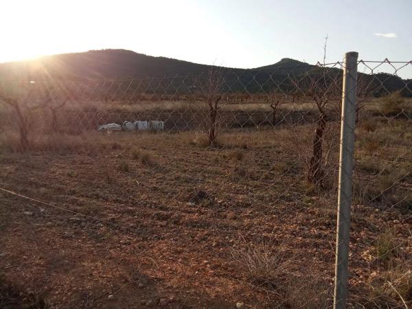 Terreno en Hondón de las Nieves