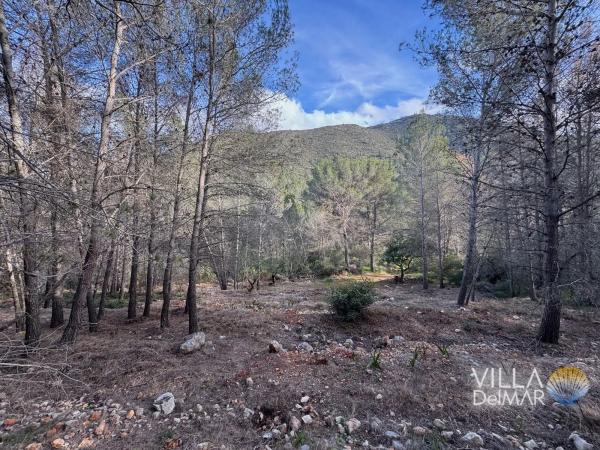 Terreno en Cv-749, 2