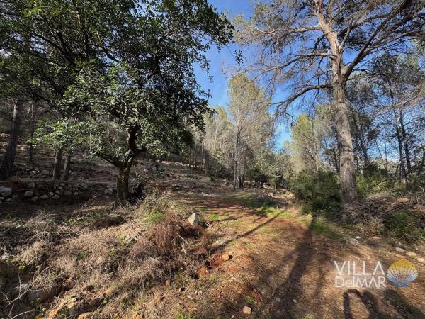 Terreno en Cv-749, 2