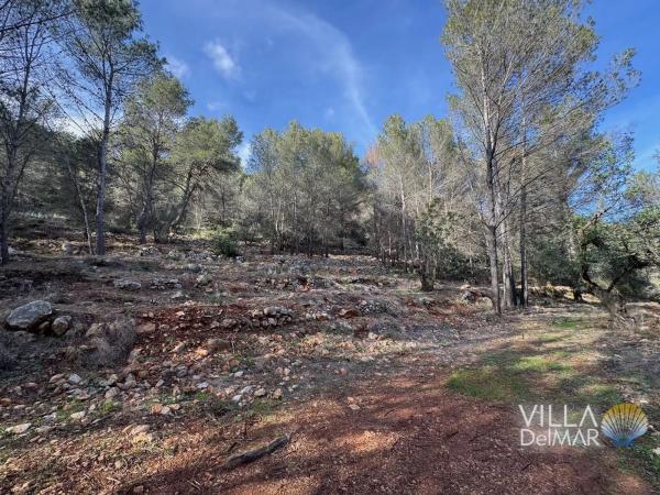 Terreno en Cv-749, 2