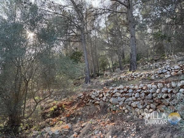 Terreno en Cv-749, 2